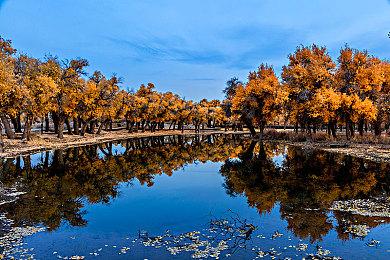 《孤岛惊魂6》如何提升帧率：只需关闭育碧Connect